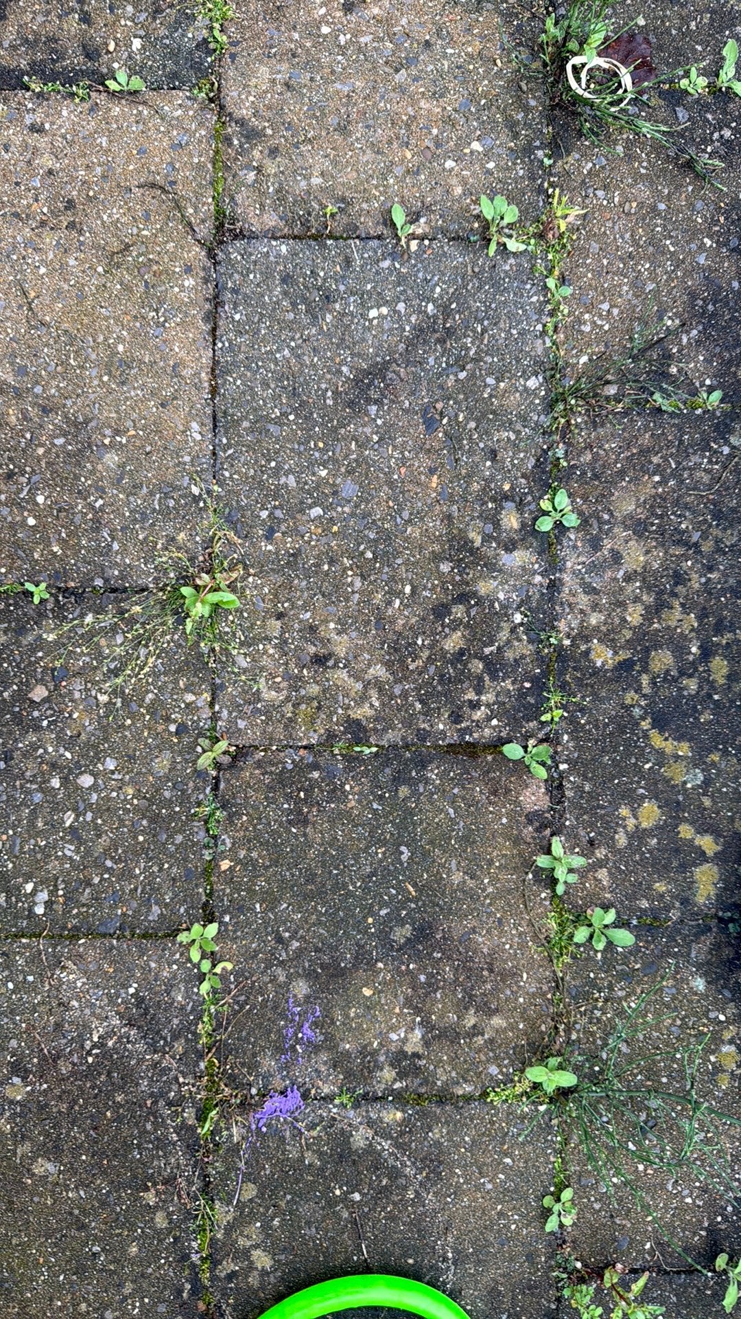 Gratis af te halen. Heel veel tuin(stoep)tegeltjes., Ophalen of Verzenden, Gebruikt, Beton, Terrastegels