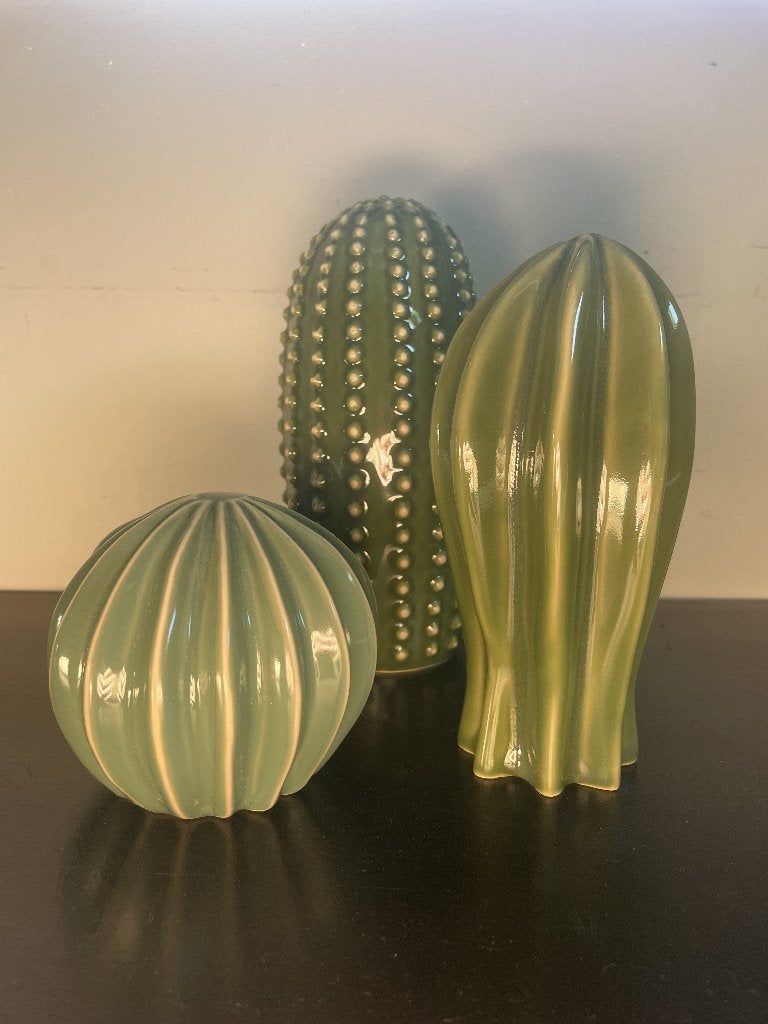 Ikea Decor Cactussen, Ophalen of Verzenden, Zo goed als nieuw, IKEA, 19 cm