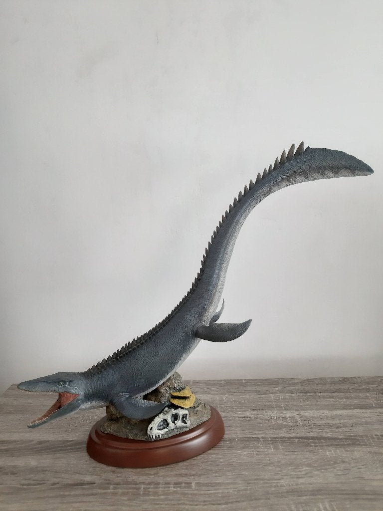 Nanmu mosasaurus, Ophalen, Zo goed als nieuw
