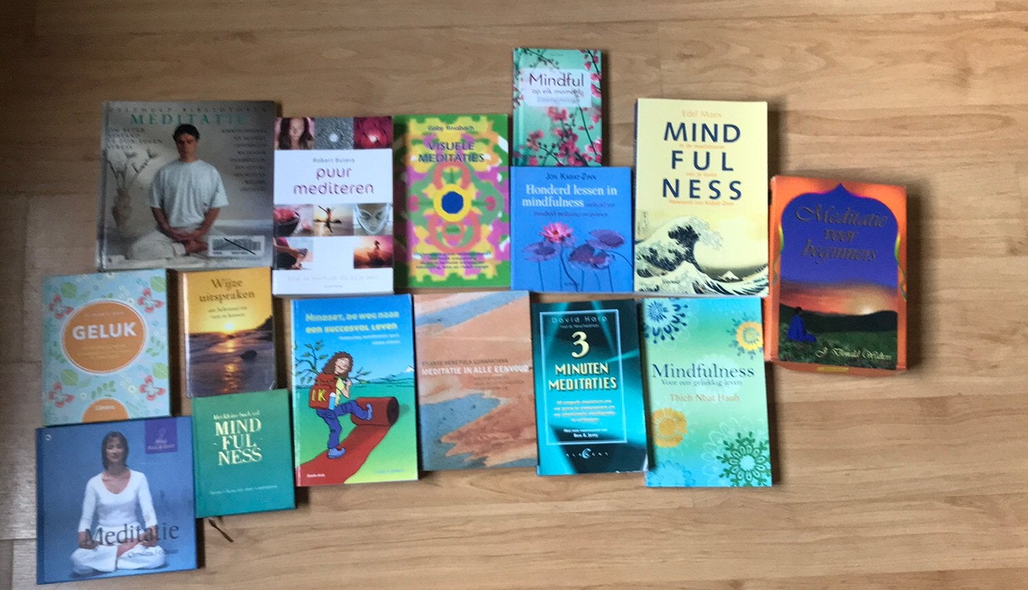 15 boeken meditatie mindfulness oa edel Maex, Boeken, Ophalen of Verzenden, Zo goed als nieuw, Meditatie of Yoga, Instructieboek