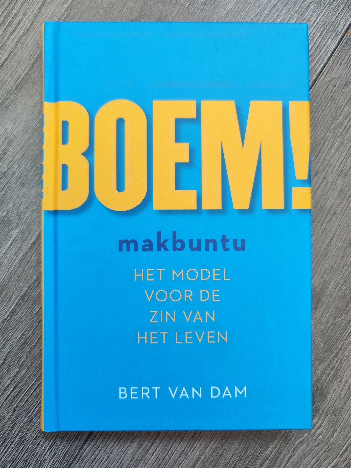 BOEM! Makbuntu: het model voor de zin van het leven – Bert, Boeken, Ophalen of Verzenden, Zo goed als nieuw, Bert van Dam