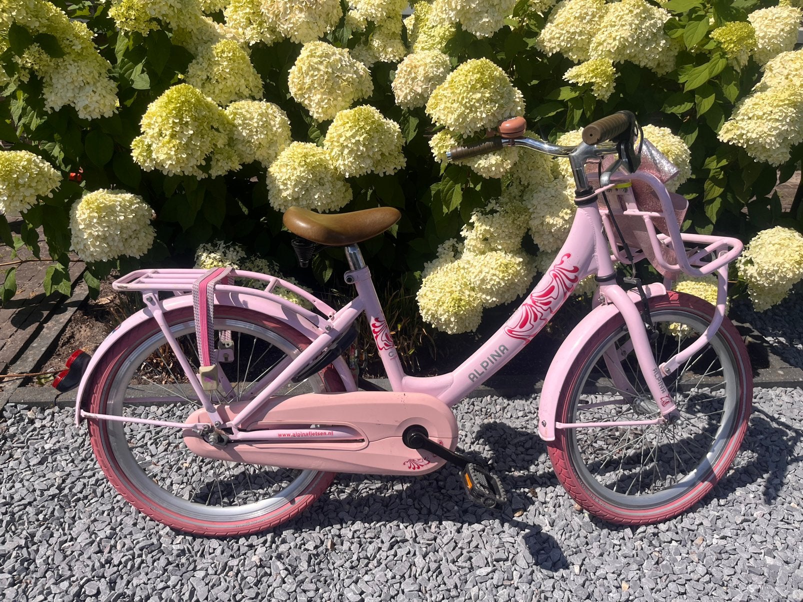 Alpina meisjes fiets 20 inch, Ophalen, Gebruikt