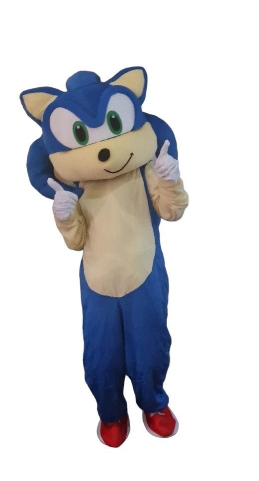 Sonic mascotte te huur, Hobby en Vrije tijd, Ophalen, Zo goed als nieuw