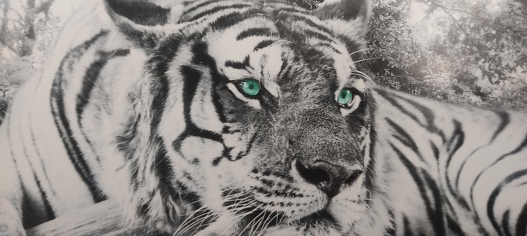 (foto)schilderij, Ophalen, 50 – 75, Gebruikt, Schilderij