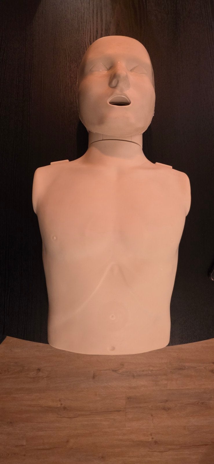 prestan volwassentorso reanimatiepop bhv ehbo CPR, Ophalen of Verzenden, Gebruikt, Overige typen