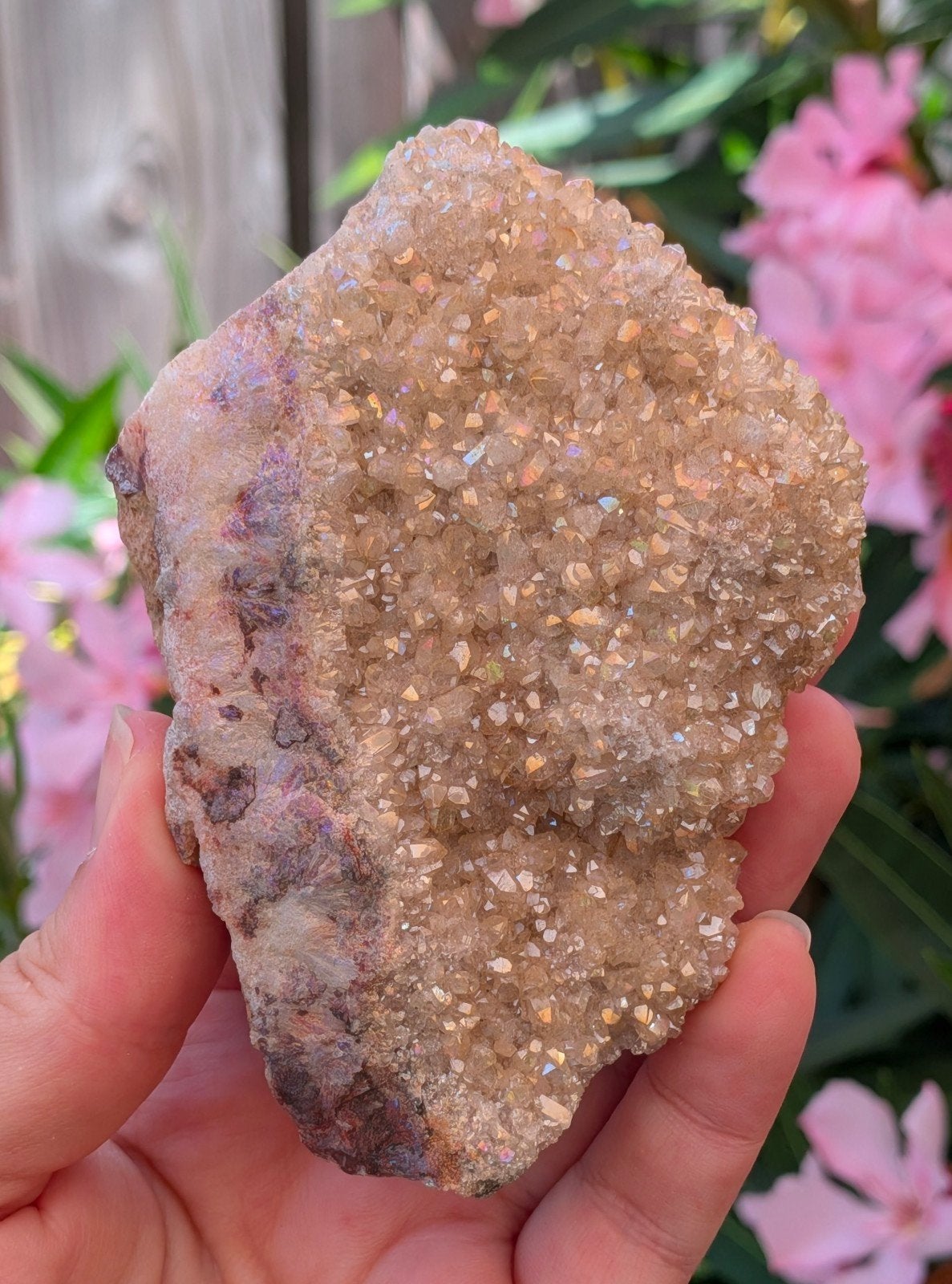 Angel aura amethist, Ophalen of Verzenden