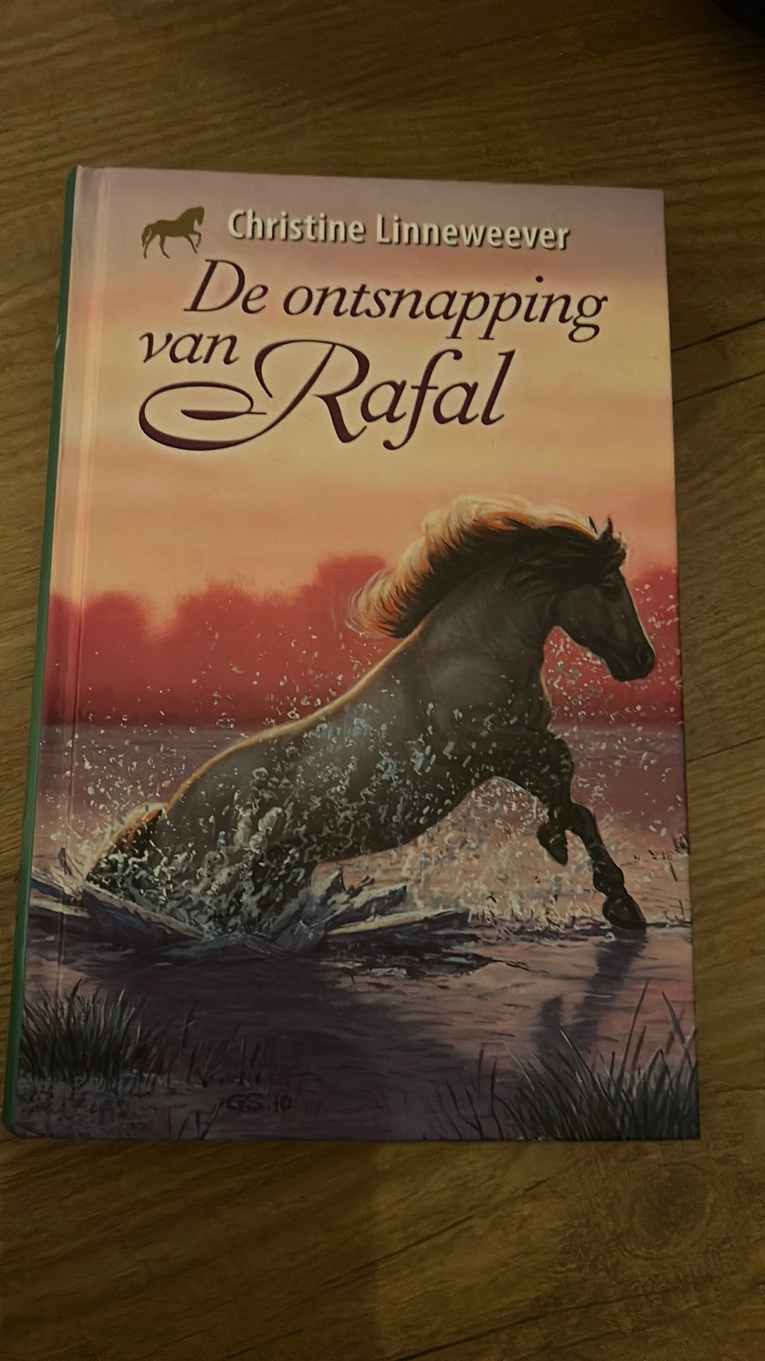 Christine Linneweever - De ontsnapping van Rafal, Ophalen of Verzenden, Zo goed als nieuw, Christine Linneweever