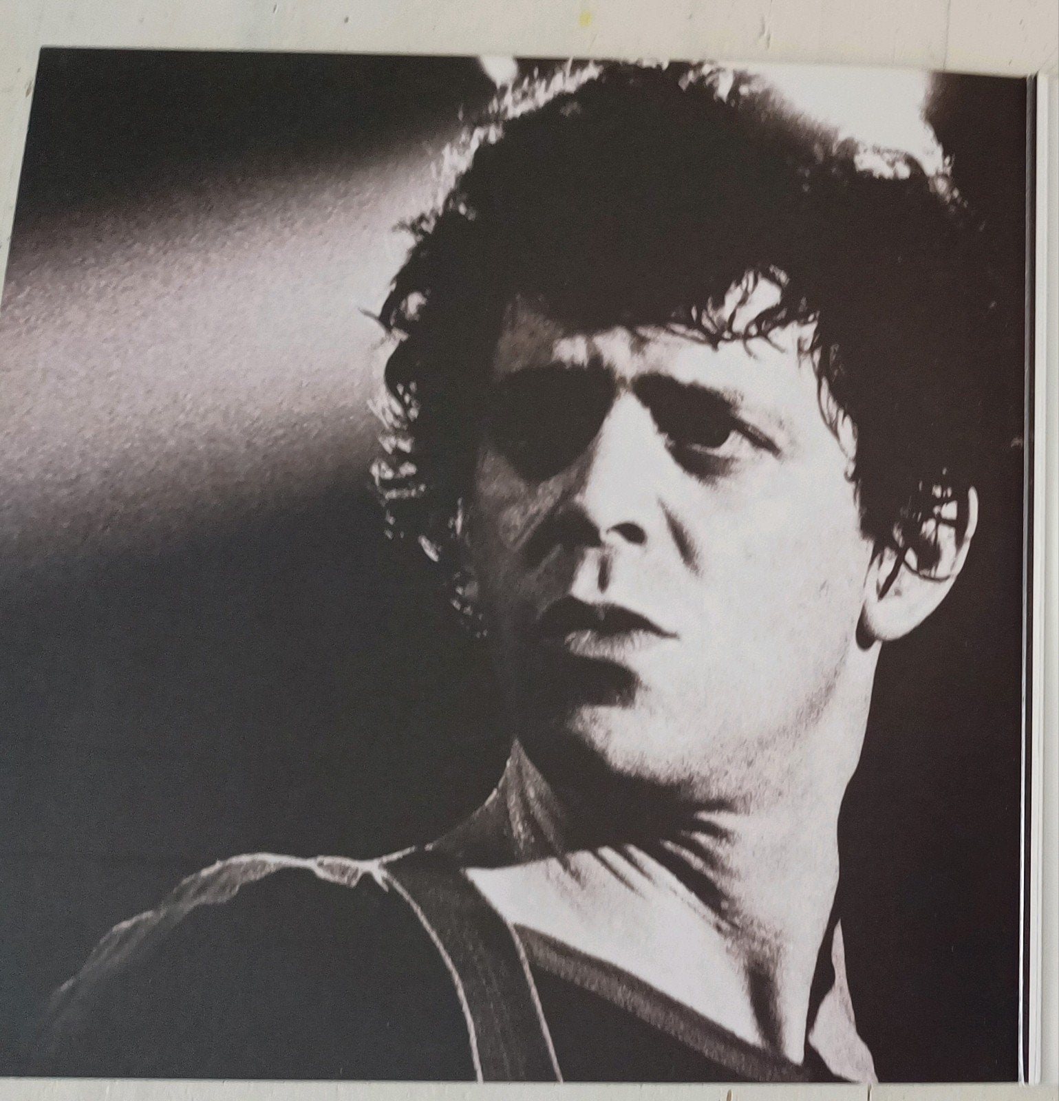 Lou Reed - Hassled in April Live in Chicago 1978 LP, Verzenden, Dubbel-LP, Classic Rock, 12 inch