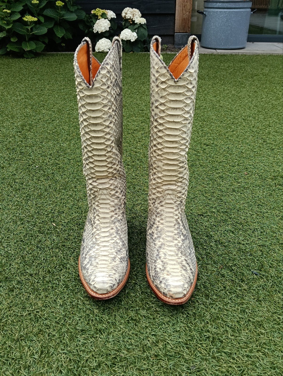 Frye Cowboy Laarzen - Slangenprint - Maat 37,5, Hoge laarzen, Overige kleuren, Ophalen of Verzenden, Frye