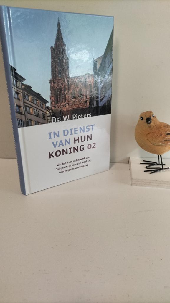 Pieters, Ds. W.; In dienst van hun Koning deel 2, Ophalen of Verzenden, Gelezen, Christendom | Protestants