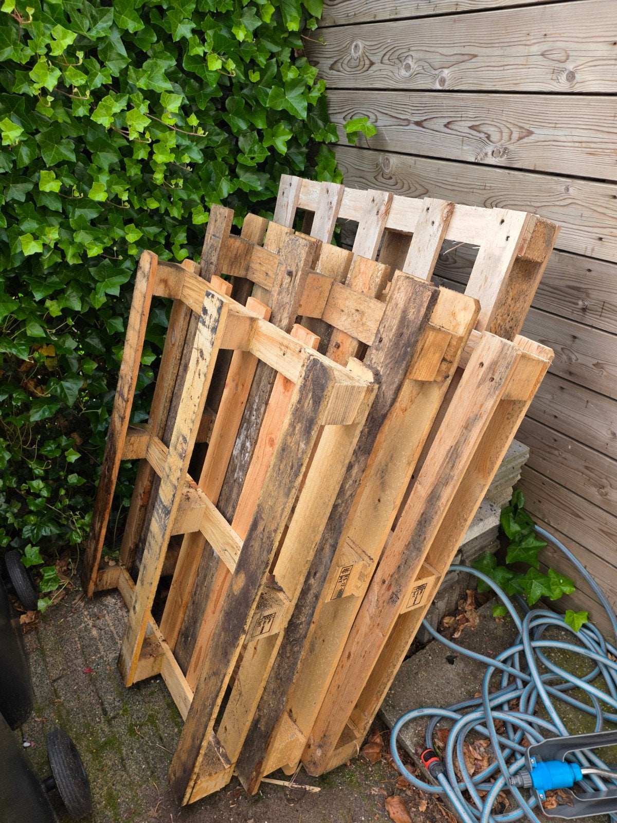 Gebruikte houten pallets voor diverse projecten, Doe-het-zelf en Verbouw, Ophalen, Gebruikt, 50 mm of meer, Pallet