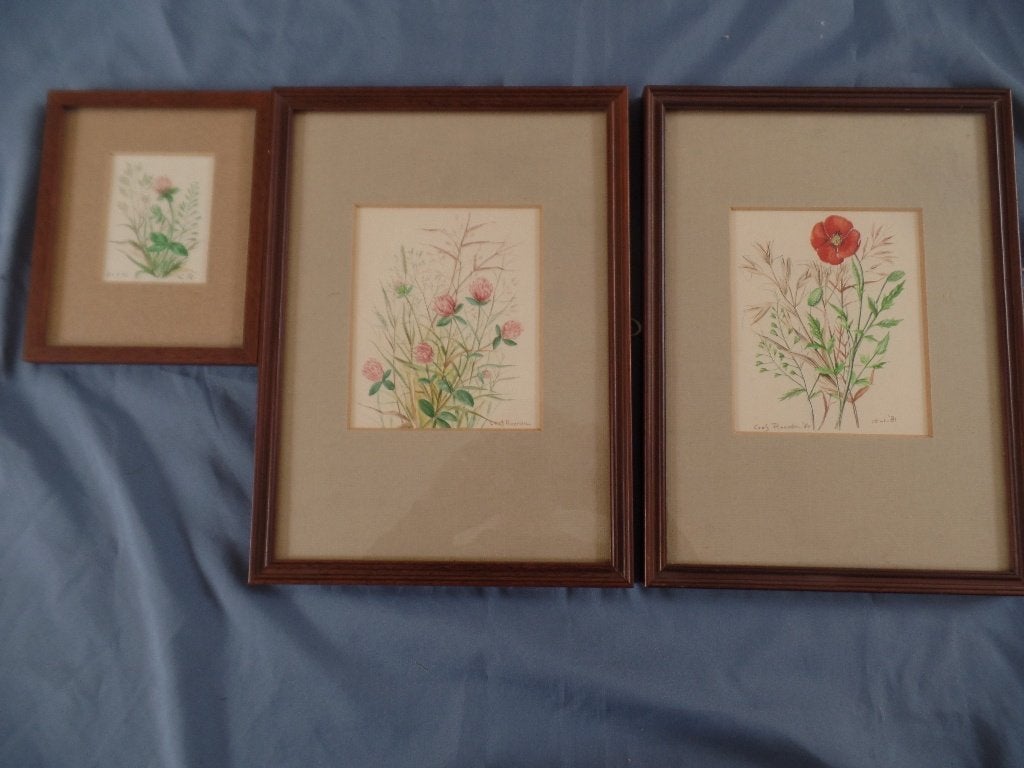 aquarel potlood gesigneerd cees roorda bloem natuur, Bloemen, Ophalen of Verzenden, Origineel werk, Papier