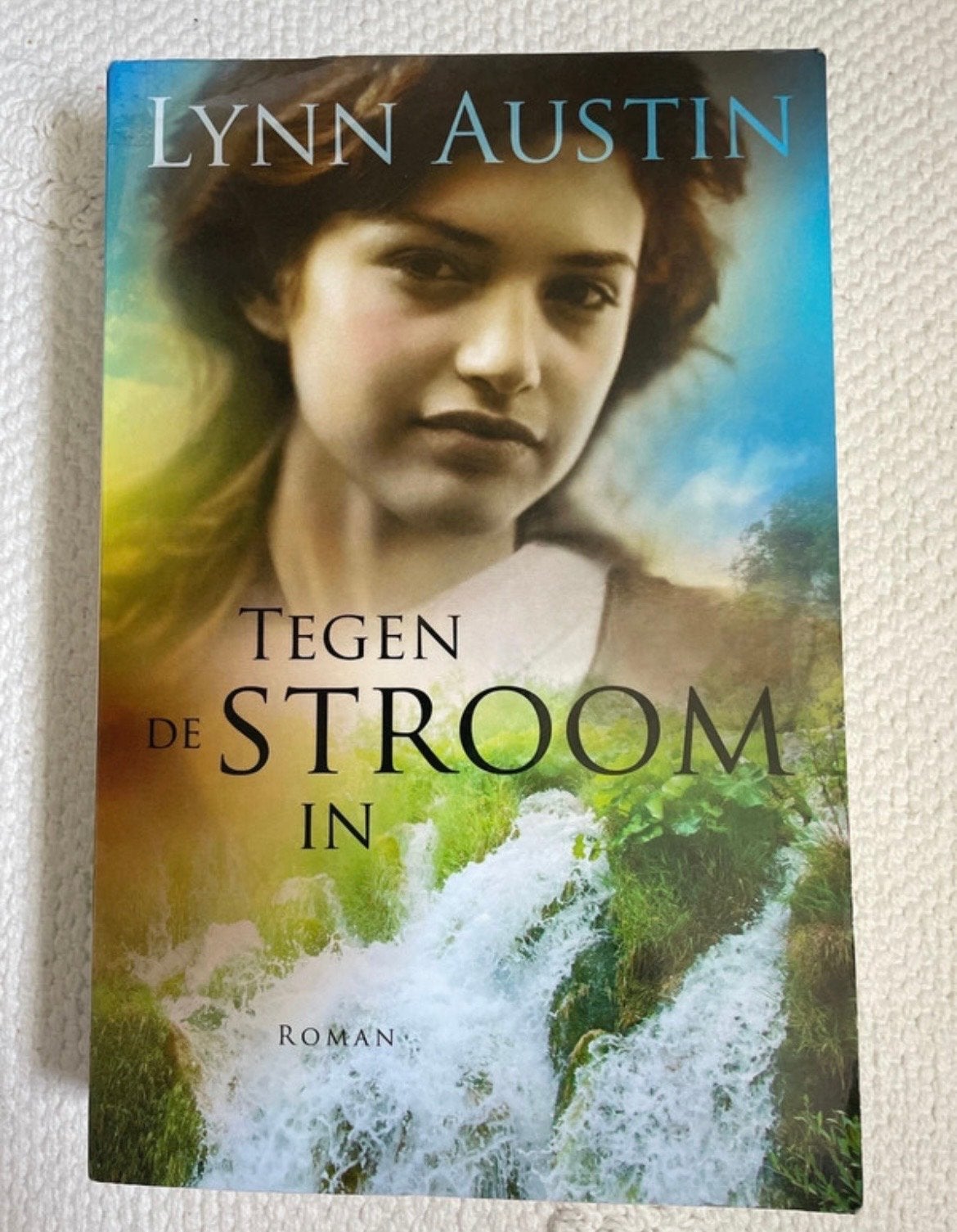 Tegen de Stroom in - Lynn Austin (Roman), Boeken, Ophalen of Verzenden, Zo goed als nieuw, Nederland