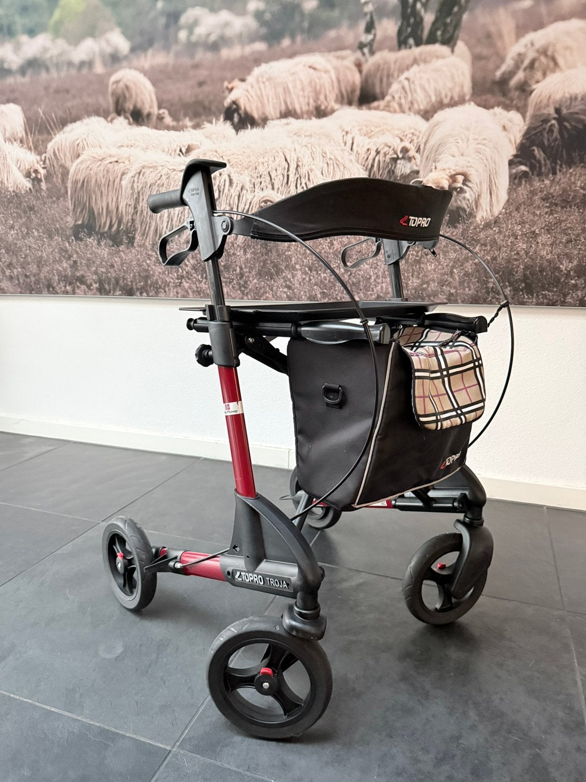 Zeer nette en complete Topro Rollator, Ophalen of Verzenden, Opvouwbaar, Zo goed als nieuw