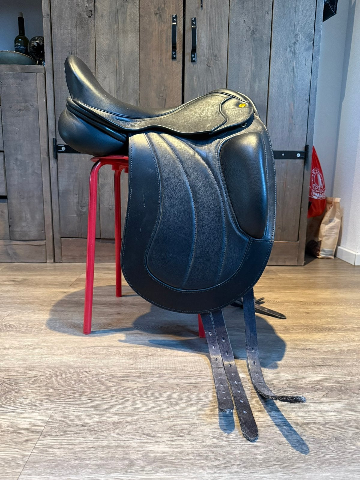 Brandon majestic van 2024, Dieren en Toebehoren, Ophalen, L (17.5 inch), Dressuur, Close contact