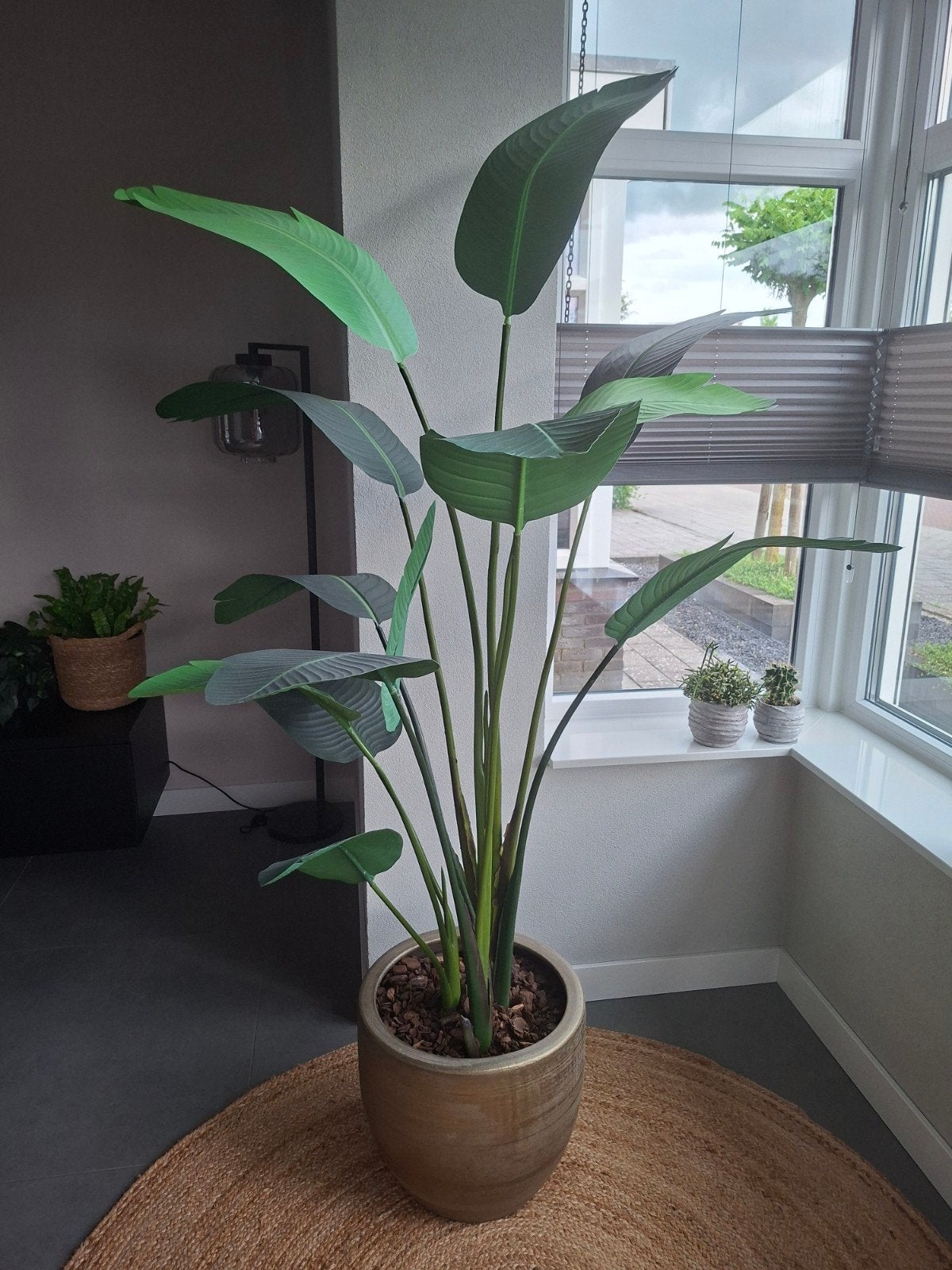 Kunst Strelitzia, Ophalen, Kunstplant, 190 cm, Gebruikt