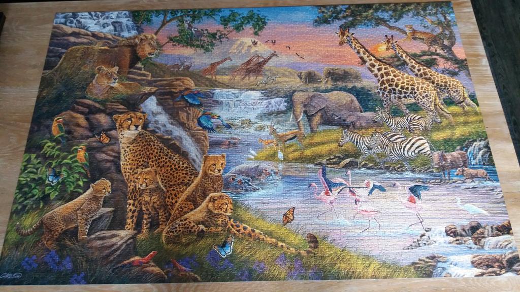 Ravensburger puzzel  Dierenrijk 3000 stukjes  , Hobby en Vrije tijd, Denksport en Puzzels, Ophalen, Meer dan 1500 stukjes, Zo goed als nieuw