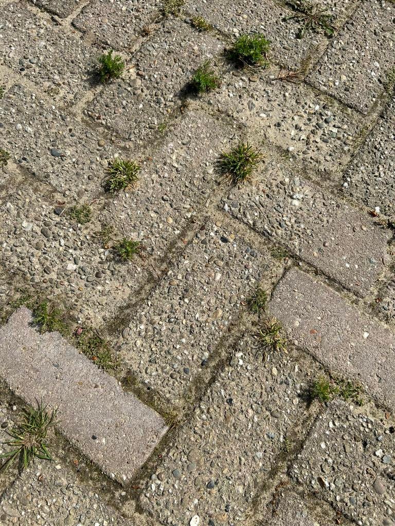 Gebruikte betonklinkers (straatstenen), Tuin en Terras, Tegels en Klinkers, Ophalen, Gebruikt, Klinkers, 10 m² of meer