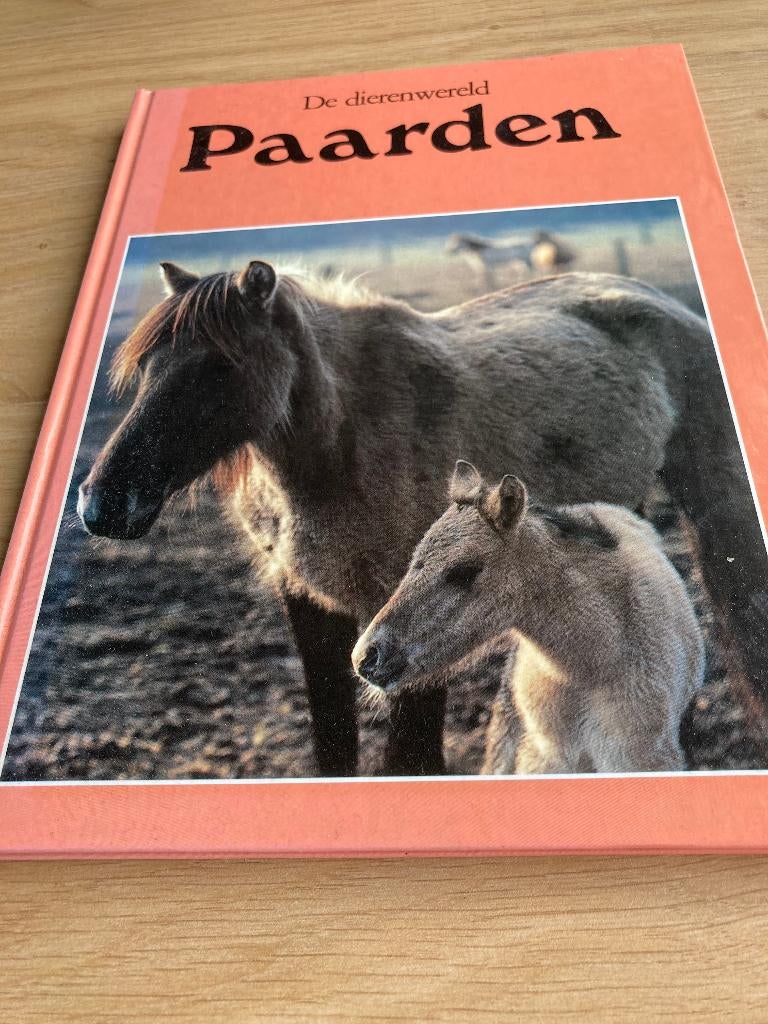 Boek Gerrit Wockener, Ophalen of Verzenden, Gelezen, Paarden of Pony's