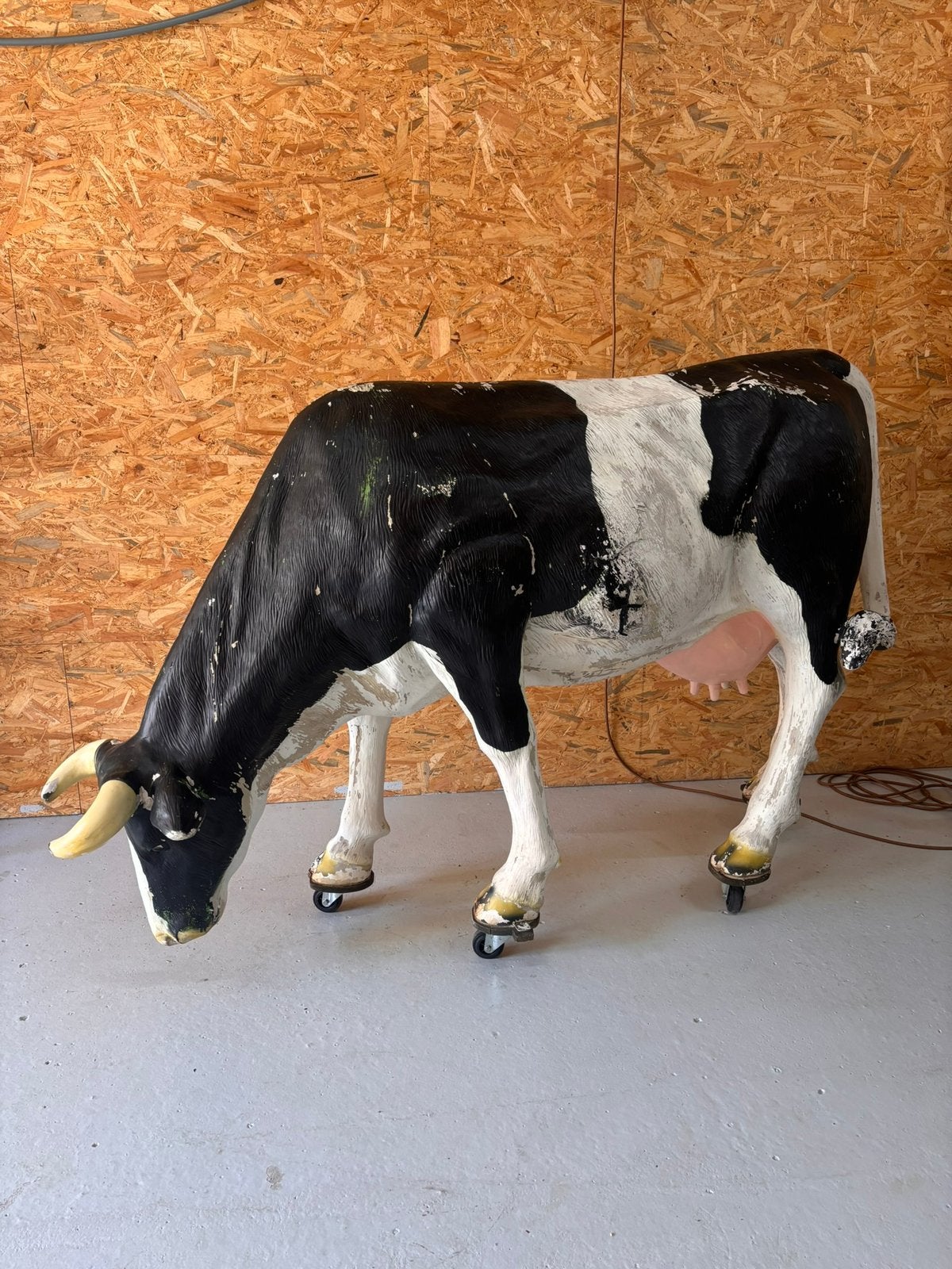 Levensgrote grazende koe | Beeld, Ophalen, Gebruikt, Boerderijdier, Beeldje of Figuurtje