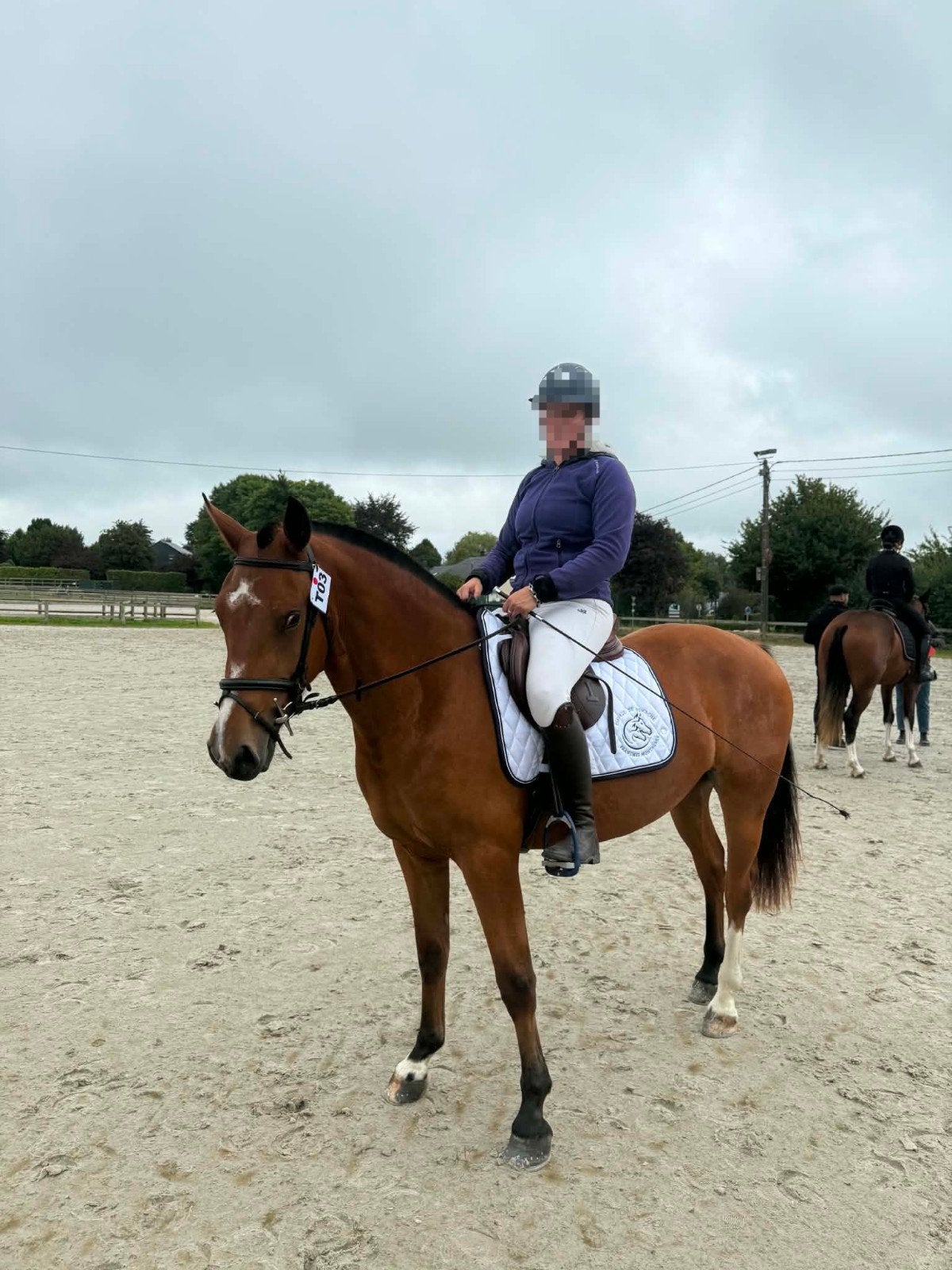 Bereden en betuigde Freiberger merrie met top karakter, Dieren en Toebehoren, Merrie, Minder dan 160 cm, 3 tot 6 jaar, Recreatiepaard