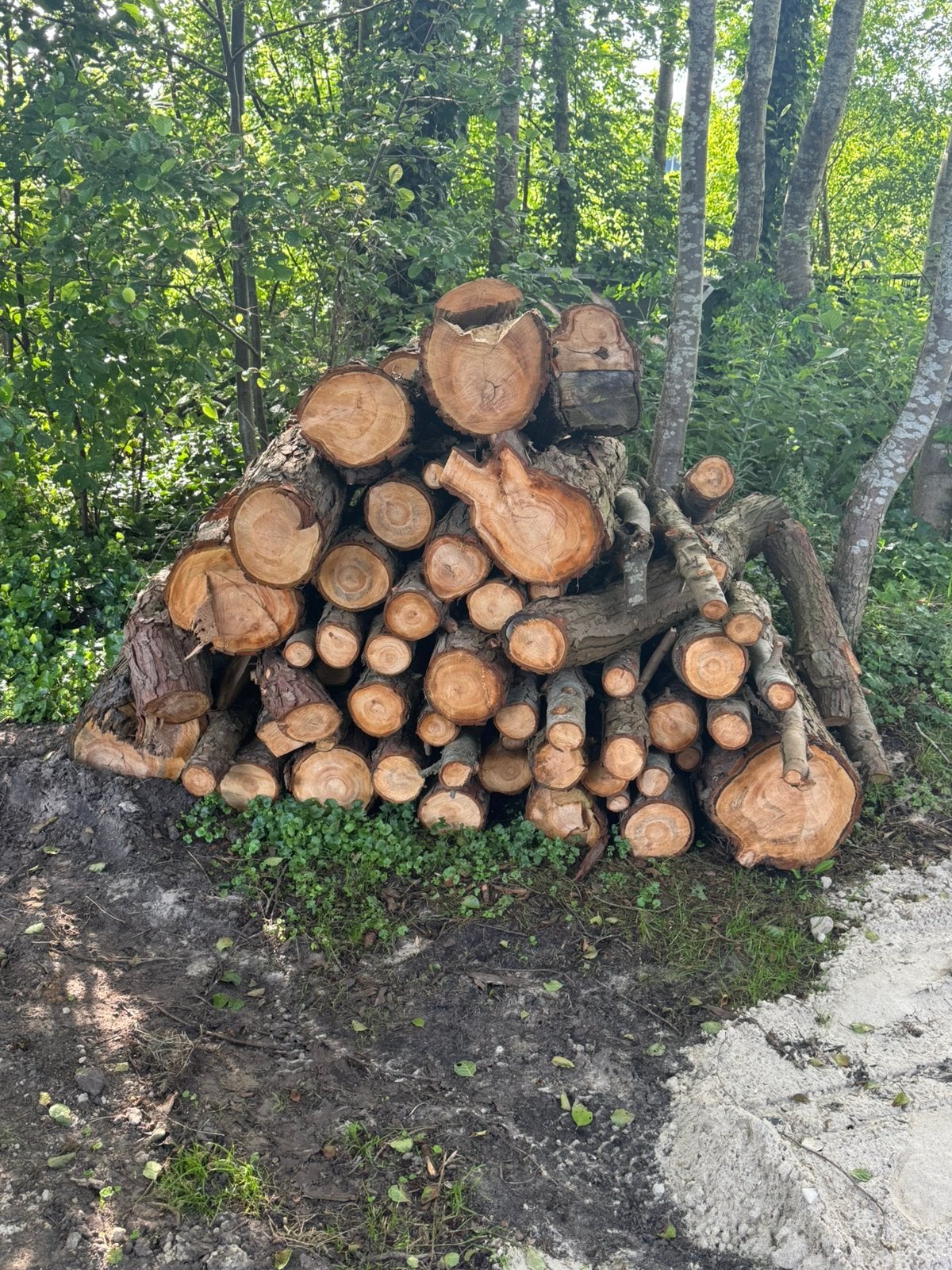 Coniferen  hout, Tuin en Terras, Haardhout, Minder dan 3 m³, Ophalen, Overige houtsoorten, Blokken