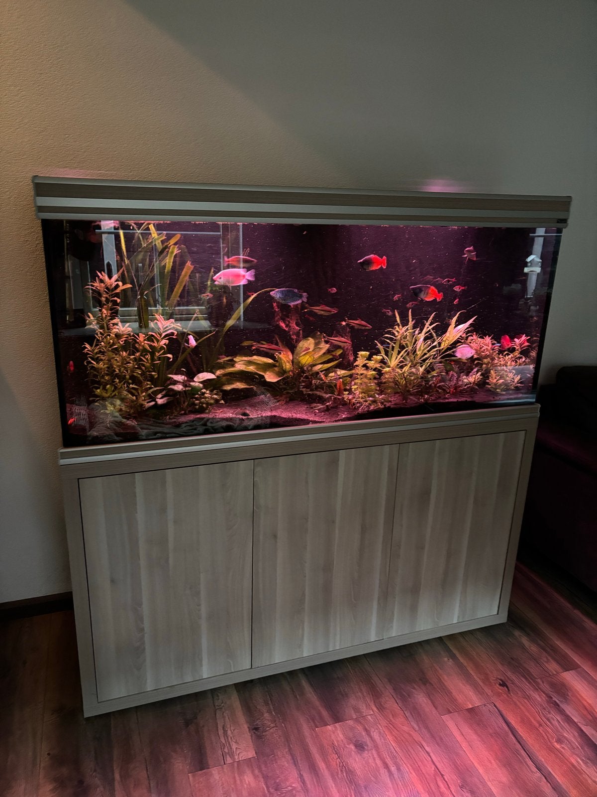 Aquarium Aquatlantis 150x55x155. 500 liter. Compleet, Dieren en Toebehoren, Vissen | Aquaria en Toebehoren, Ophalen, Gebruikt