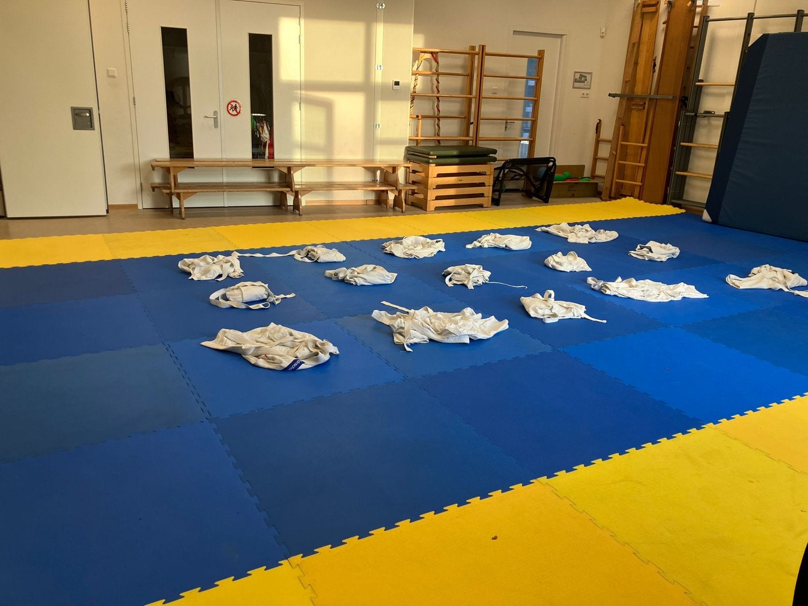 Sportmatten / Judomatten 60m2, Ophalen, Gebruikt