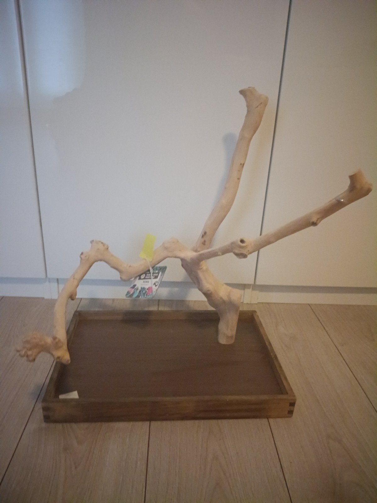 nieuw tafel model java hout, Ophalen, Nieuw, Speelgoed