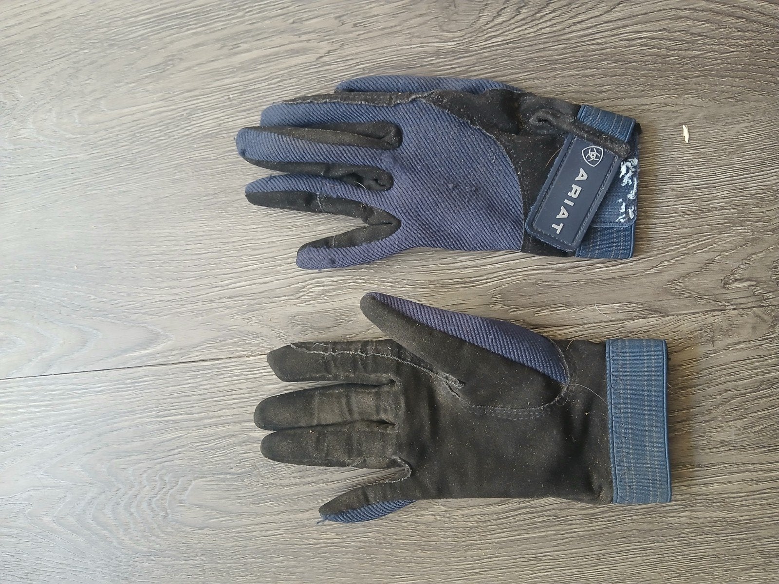 paardrijhandschoenen, Ophalen of Verzenden, Schoeisel