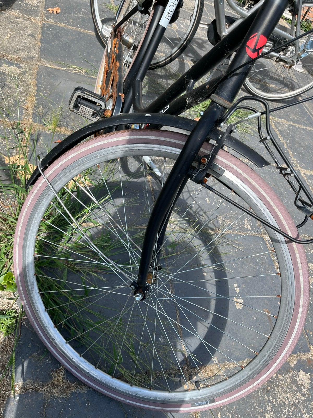 Raaks damesfiets, Terugtraprem, Gebruikt, 47 tot 50 cm, Versnellingen