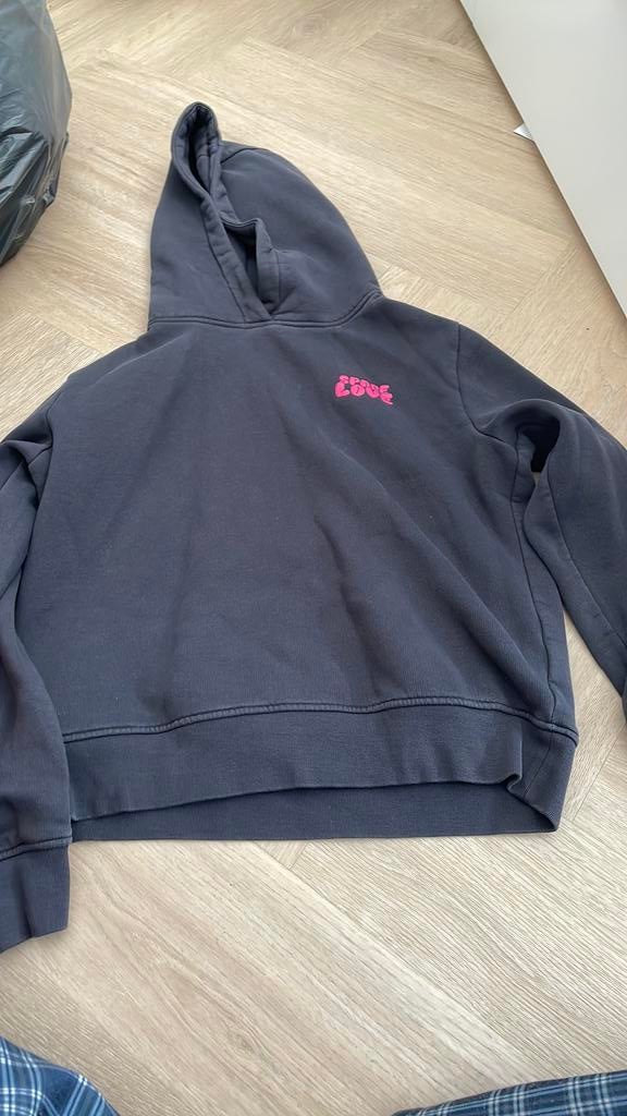 The sting hoodie, Ophalen of Verzenden, Zo goed als nieuw, Maat 46 (S) of kleiner, Grijs