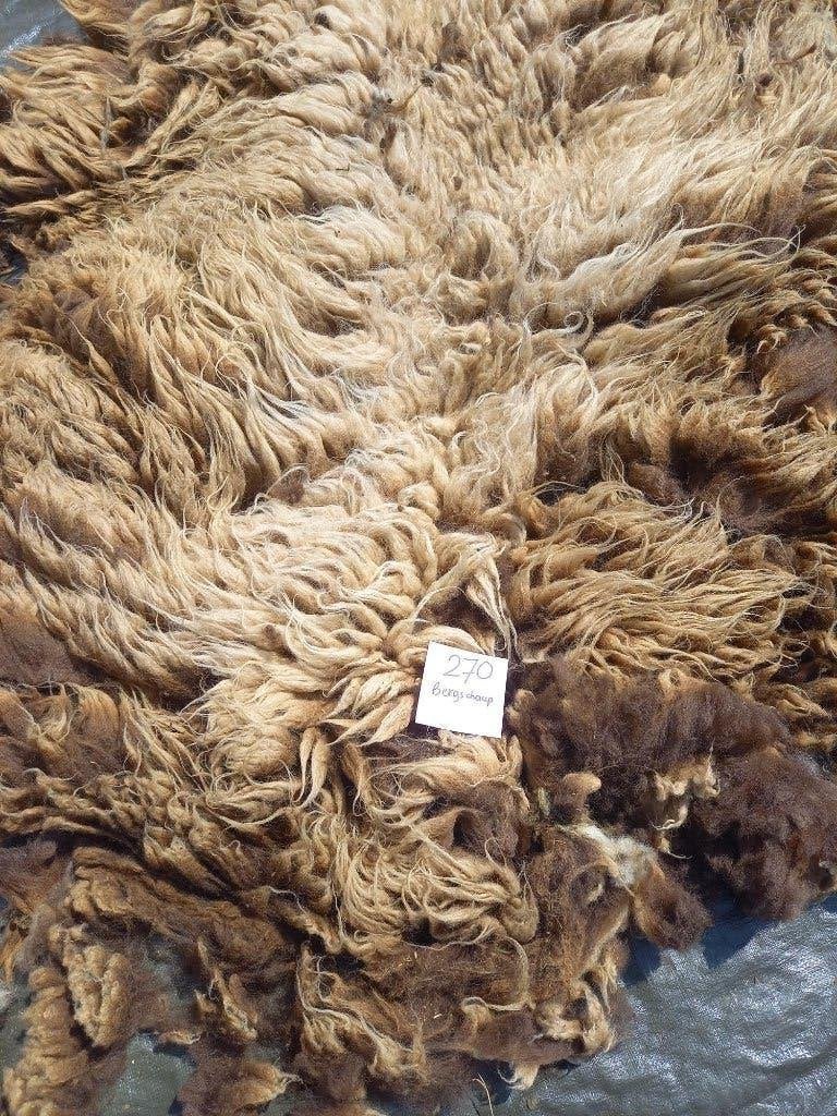 nr 270 Geschoren vacht van bergschaap Natuurlijk - Onbewerkt, Ophalen of Verzenden, Gebruikt