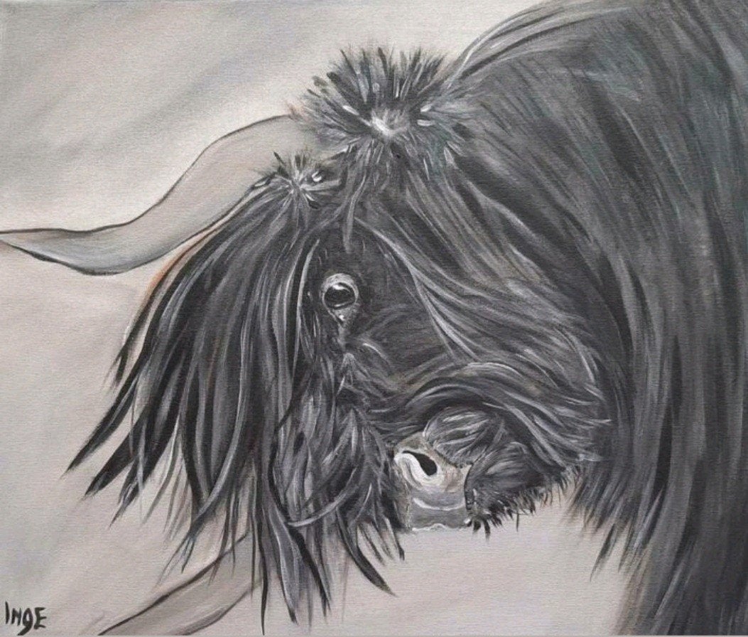 Schilderij Schotse Hooglander in zwart grijs tinten acryl, Ophalen of Verzenden, Acrylverf, Dieren