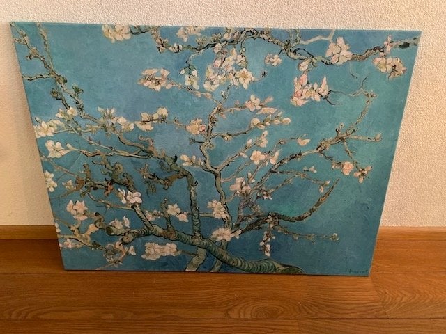 Canvas met Van Gogh Amandelbloesem, Ophalen, Gebruikt, Decoratieobject, 100 cm