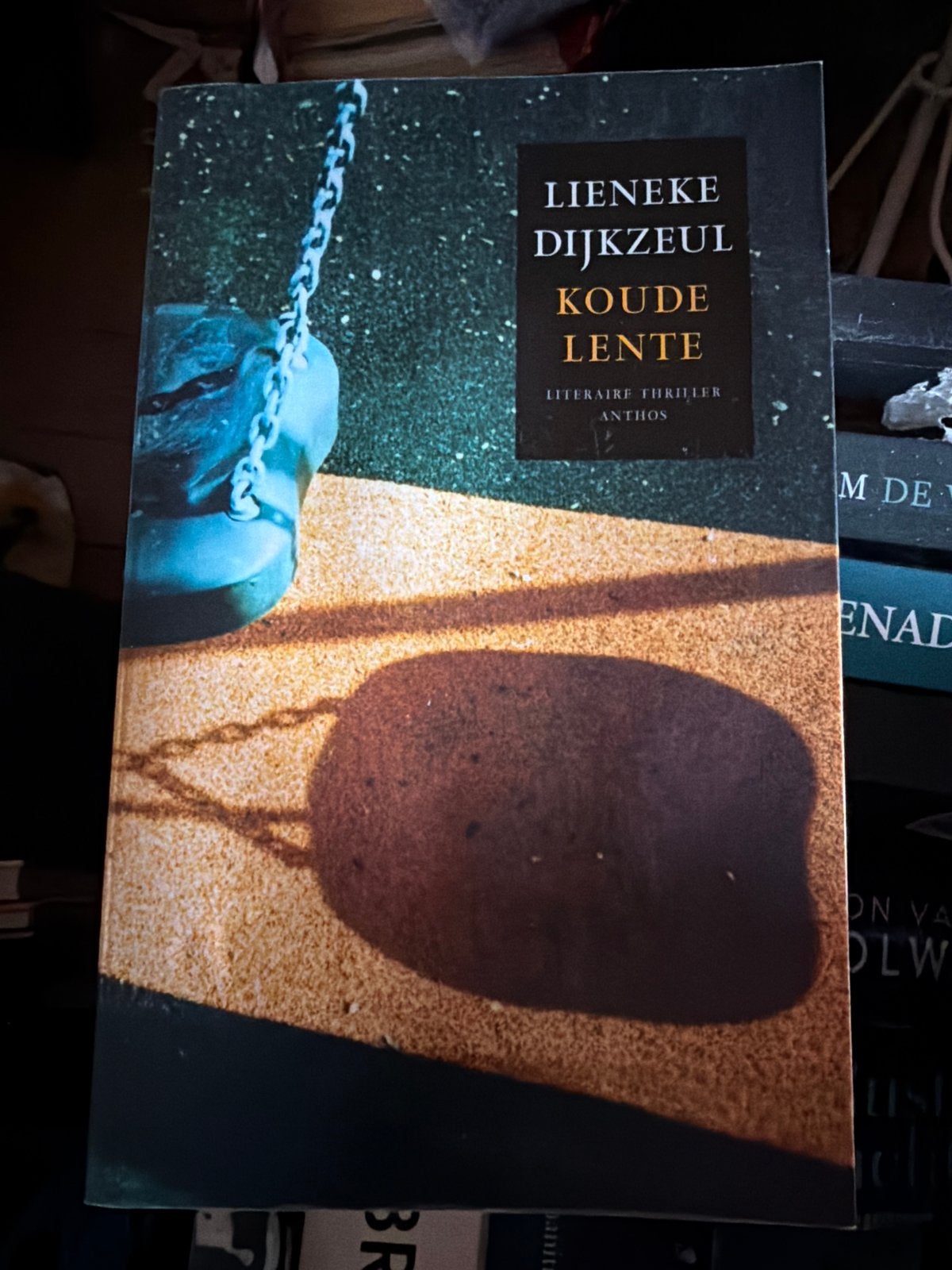 Z3.   Lieneke Dijkzeul - Koude Lente (Literaire Thriller), Ophalen of Verzenden, Zo goed als nieuw, Nederland
