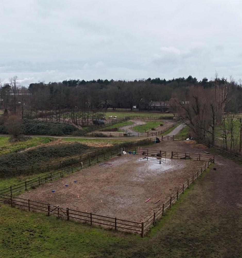 Uniek paarden/pony pension op landgoed Westerhout Beverwijk, Weidegang