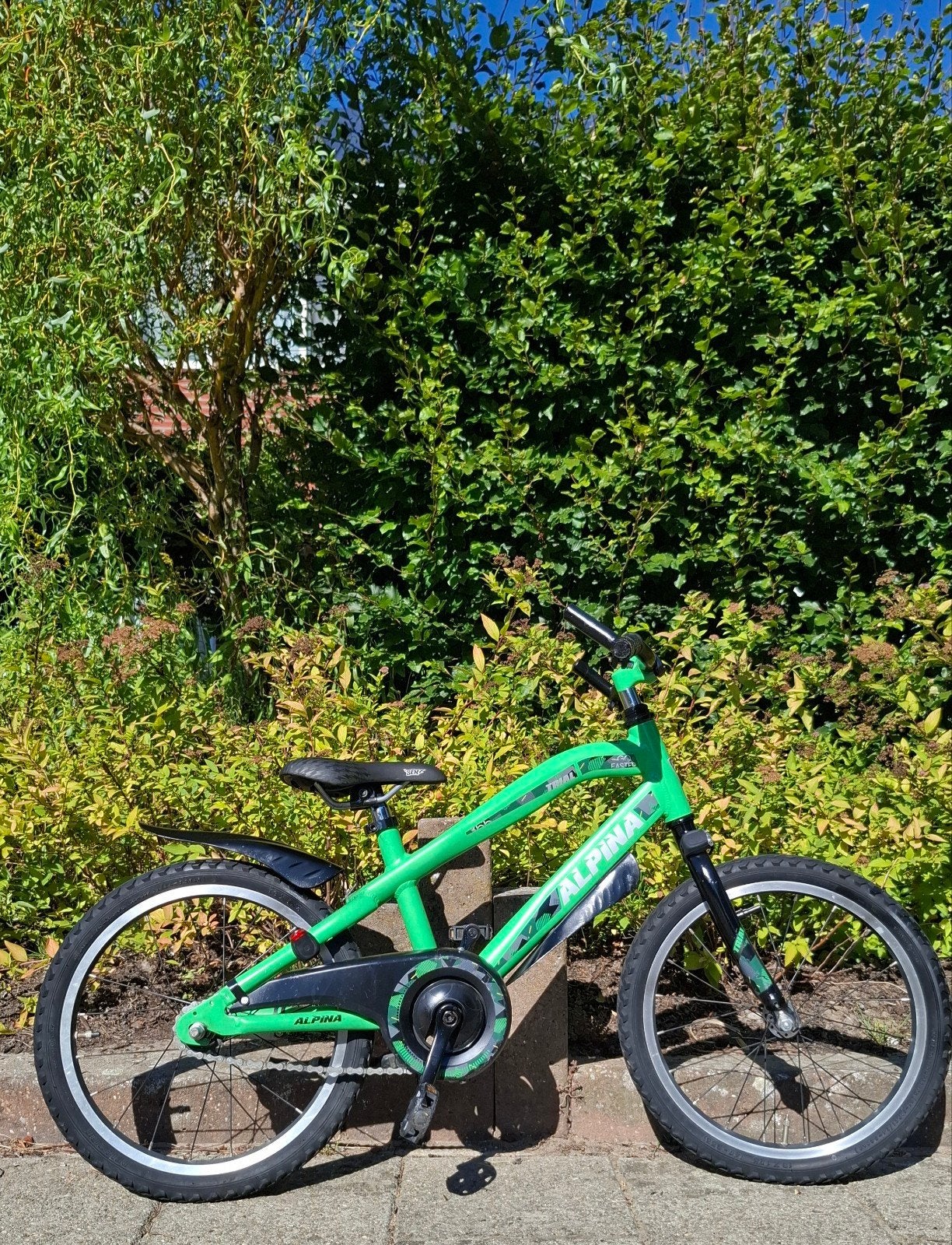 Kinderfiets Alpina Trial 18 inch + Nieuwe banden, Ophalen, Gebruikt, Terugtraprem, Alpina Trial