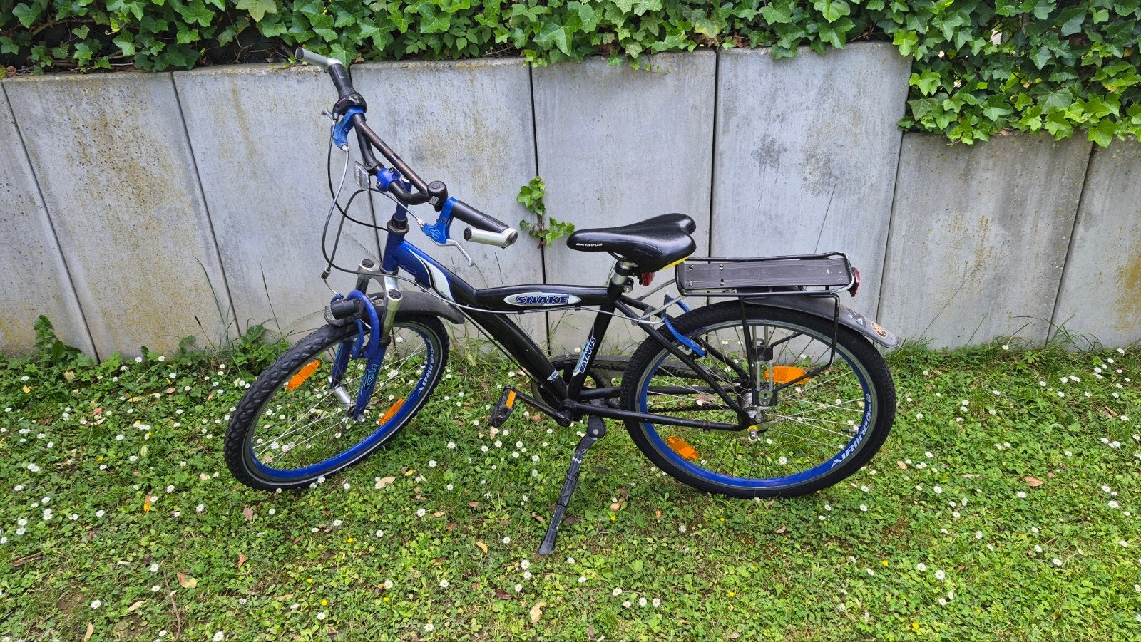 Batavus snake, Fietsen en Brommers, Ophalen, Terugtraprem, Versnellingen, Batavus Snake fiets