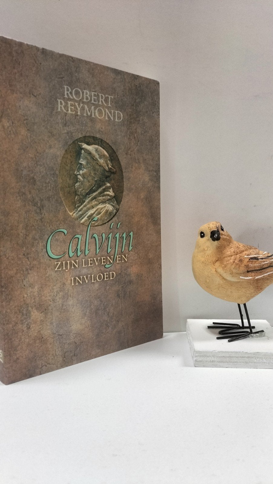 Reymond, Robert; Calvijn zijn leven en invloed, Ophalen of Verzenden, Gelezen, Christendom | Protestants