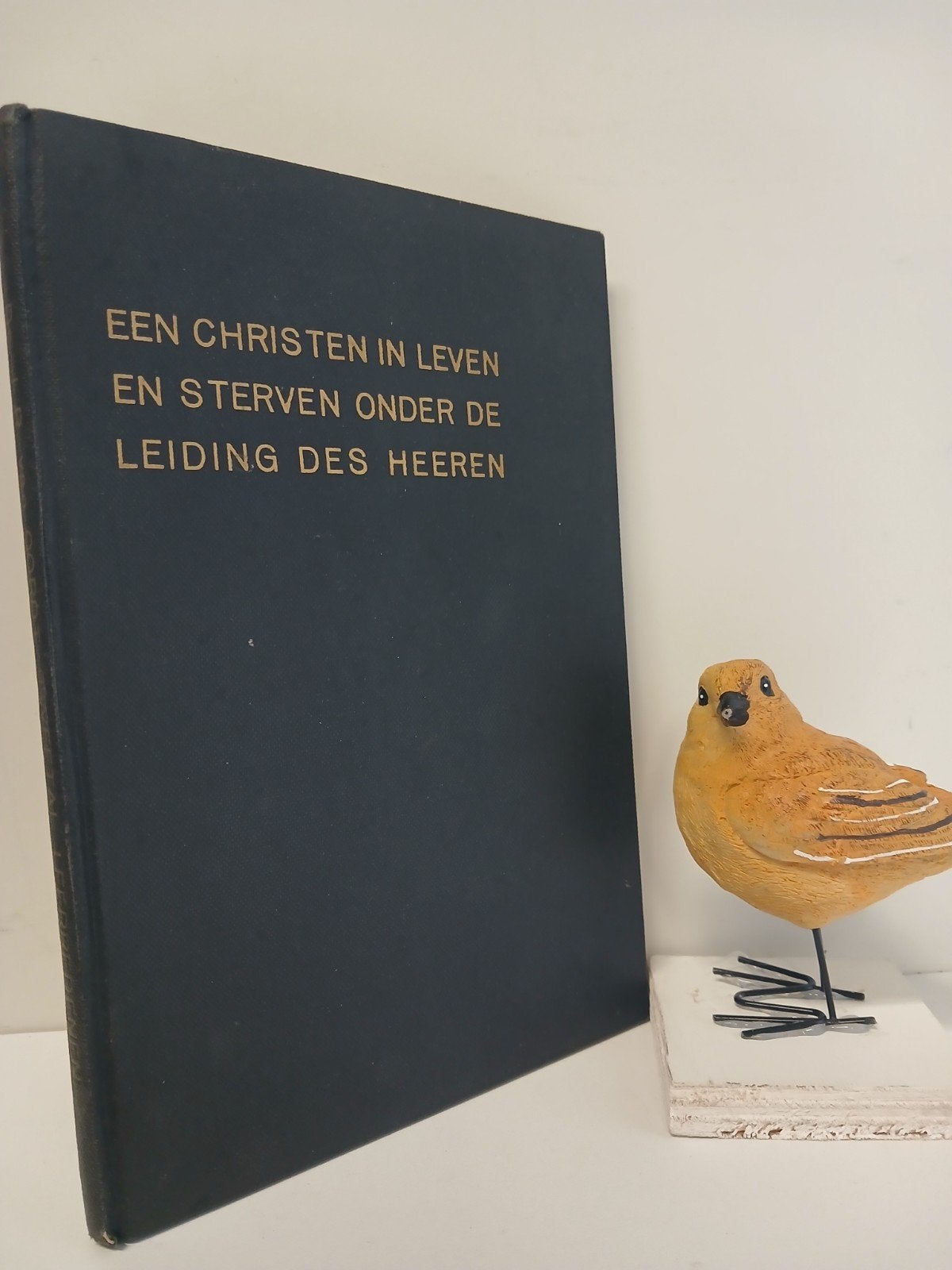Oordt, Ds. J.R. van; Een christen in leven en sterven, Ophalen of Verzenden, Gelezen, Christendom | Protestants