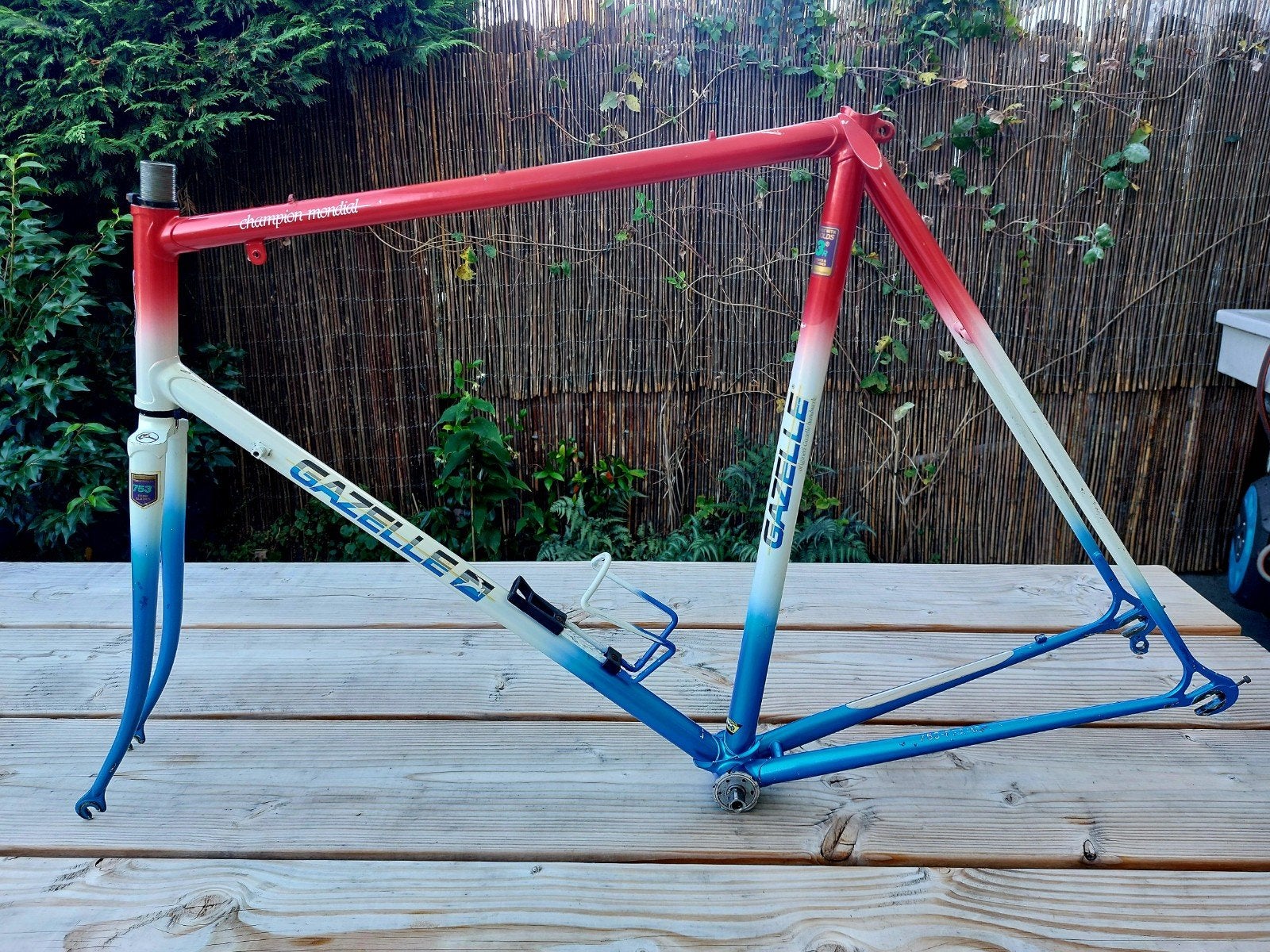 Gazelle Champion Mondial 753 frame - 59cm - Rood/Wit/Blauw, Frame, Gebruikt, Staal, Ophalen of Verzenden