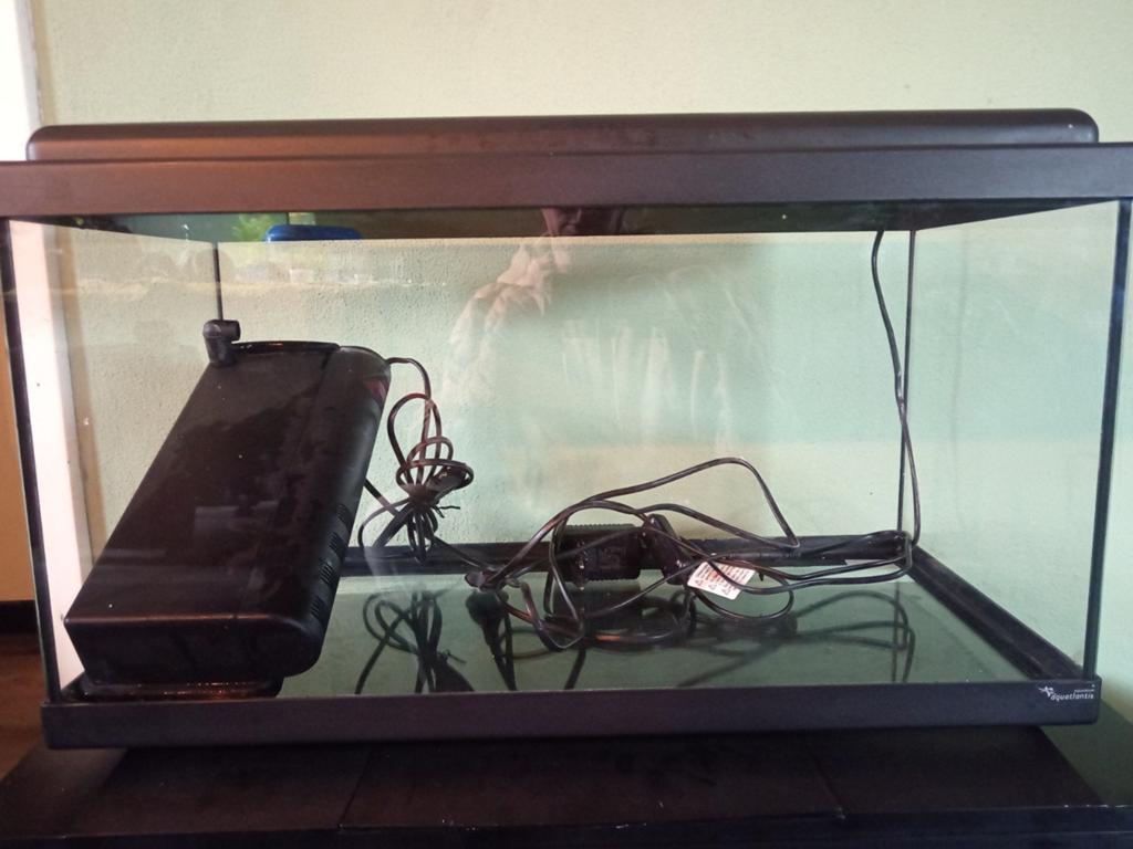 Aquarium aquatlantis, Ophalen, Leeg aquarium