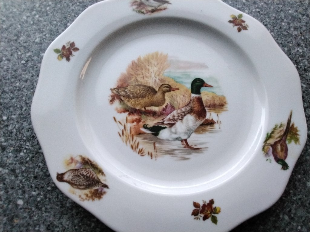 Vogelbord met een afbeelding van een stel eenden, Ophalen of Verzenden, Zo goed als nieuw
