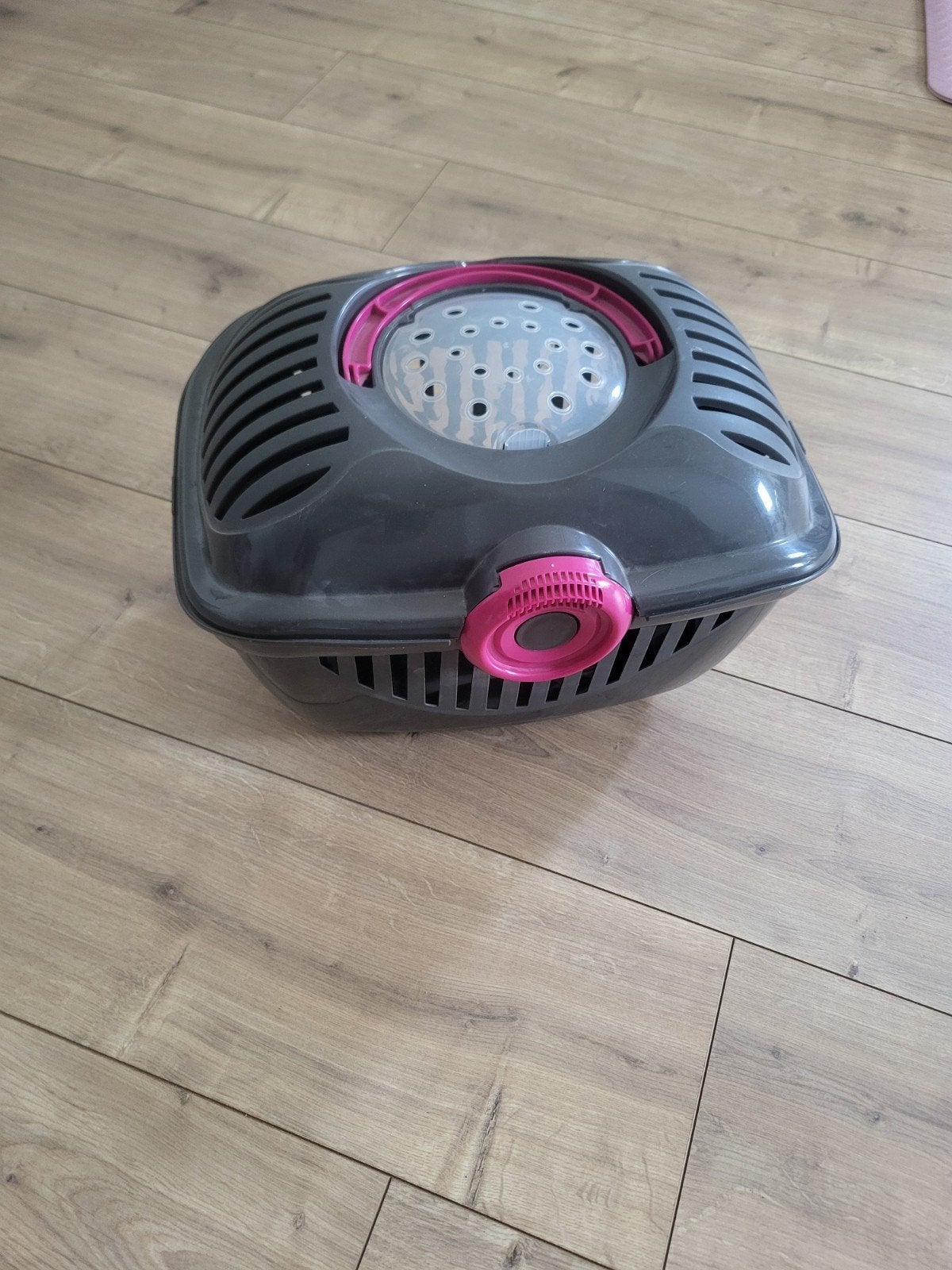 Reismand dieren konijn, Dieren en Toebehoren, Ophalen, Minder dan 75 cm, Konijn, Minder dan 60 cm