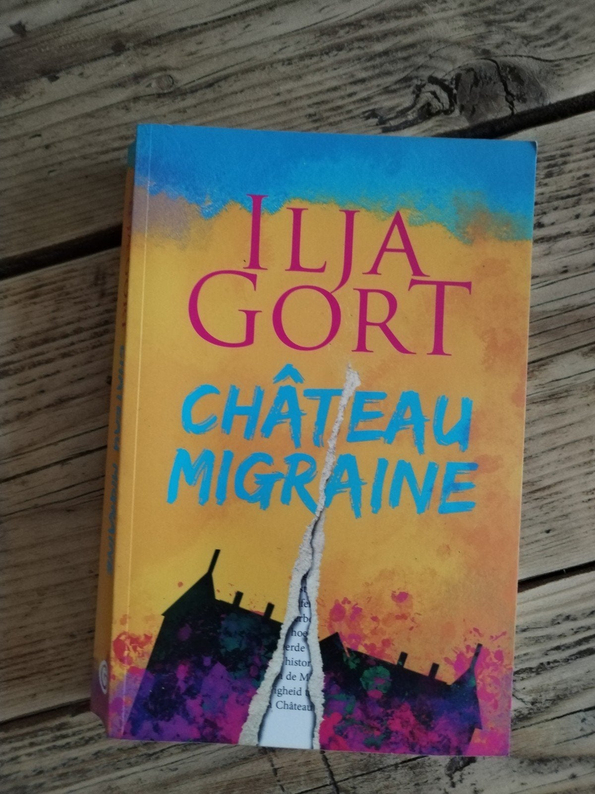 Château Migraine - Ilja Gort (Gelezen, goede staat), Ophalen of Verzenden, Gelezen, Ilja Gort