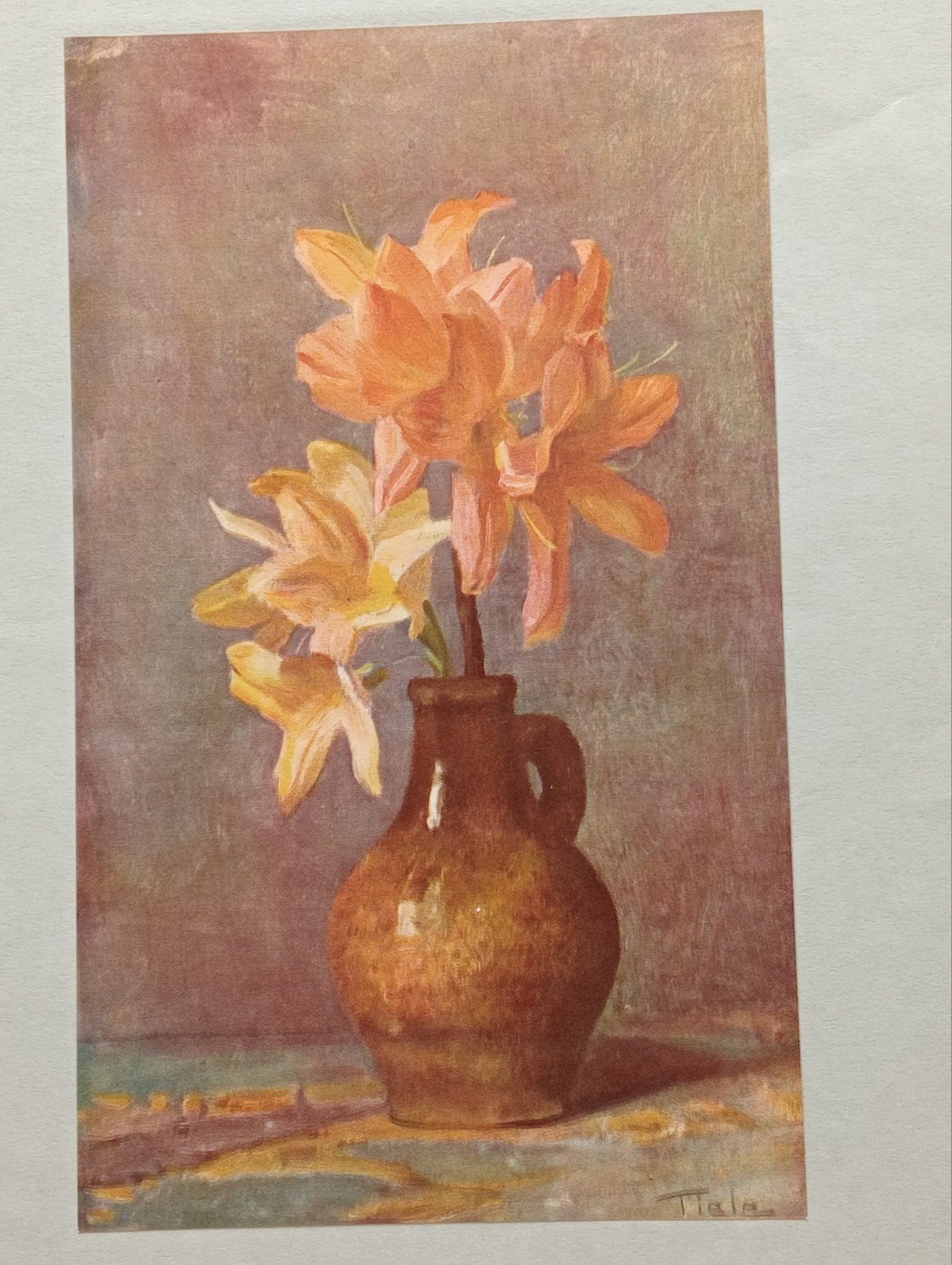 J.Tiele prent 1934 Azalea Mollis Stilleven