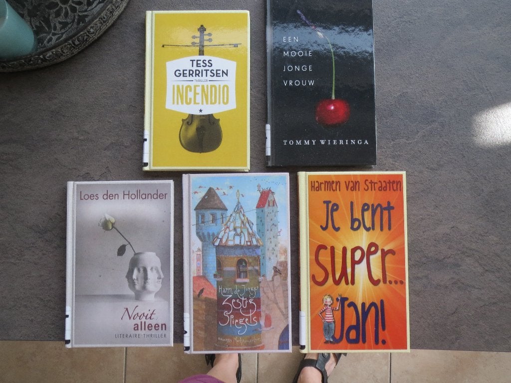 romans, Boeken, Romans, Nieuw, Ophalen of Verzenden