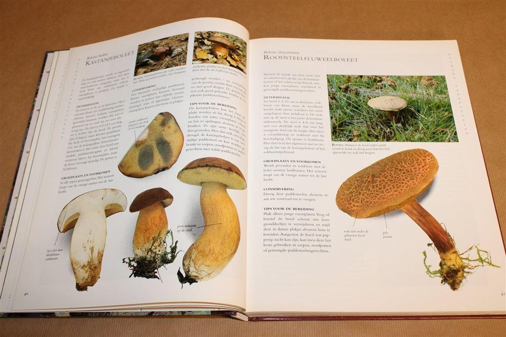 Paddestoelen — 99 Originele Recepten & Soorten A-Z, Boeken, Natuur, Ophalen of Verzenden, Zo goed als nieuw, Bloemen, Planten en Bomen