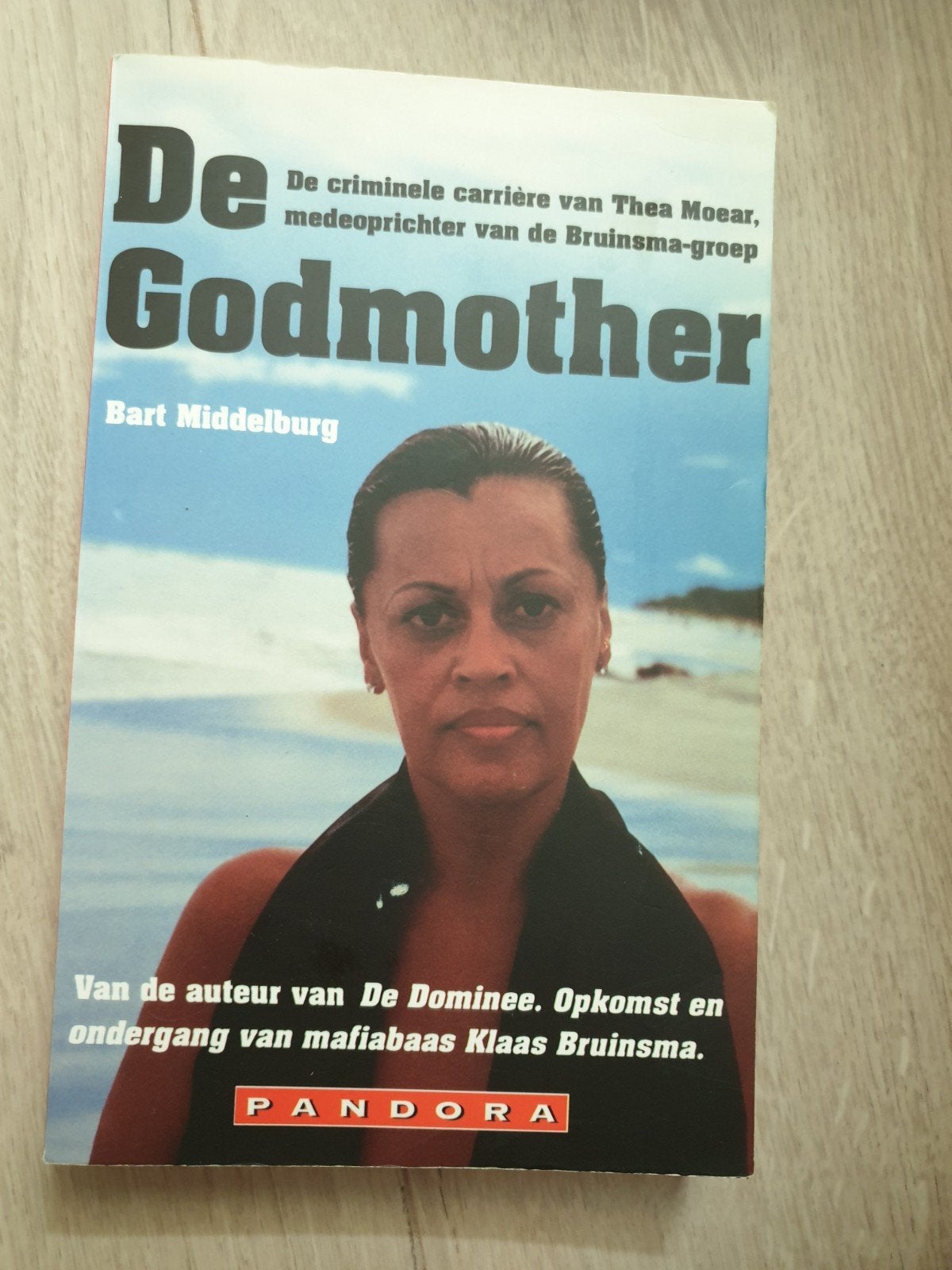 De Godmother: Thea Moear, medeoprichter Bruinsma-groep, Ophalen of Verzenden, Gelezen, Bart Middelburg